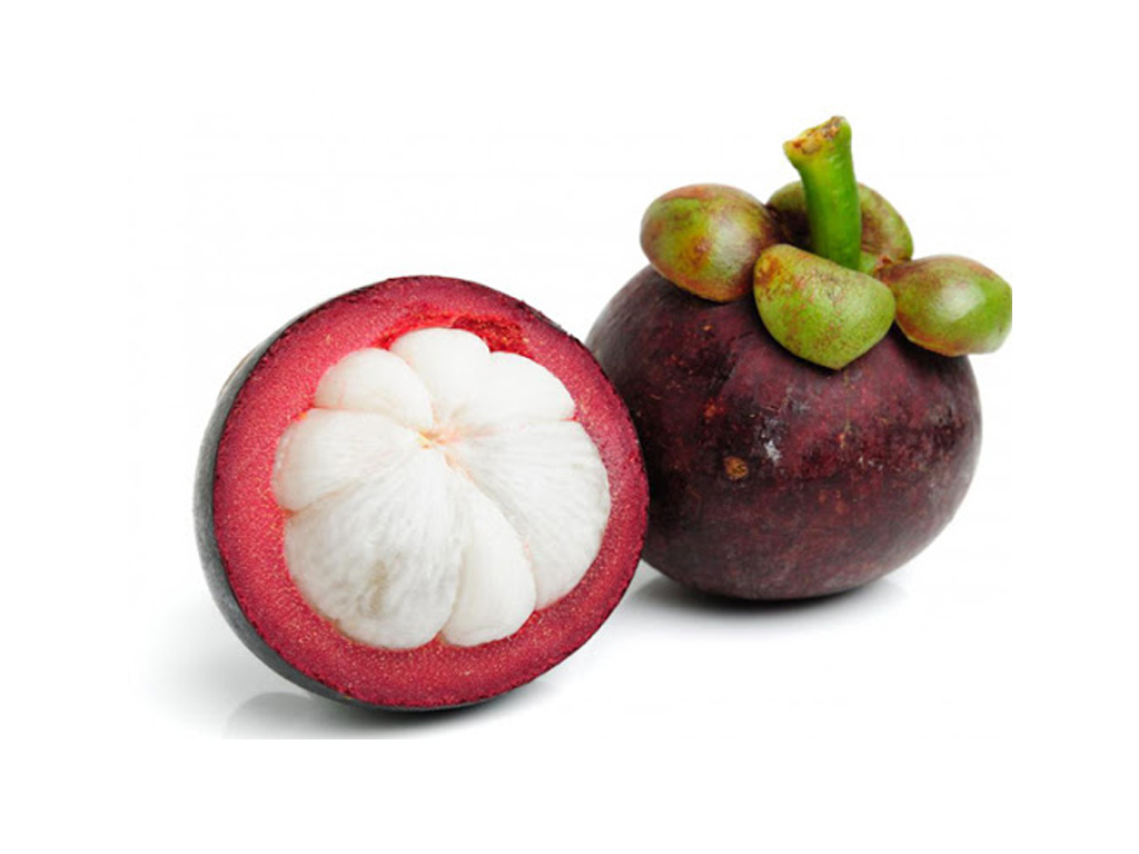 Mangosteen